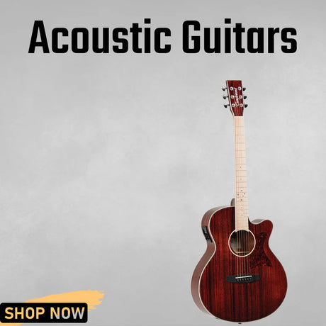 Acoustic Guitars