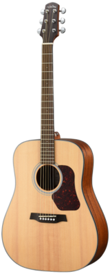 Walden Guitars D550E Natura Solid Spruce Top Dreadnought Acoustic-Electric - Open Pore Satin Natural