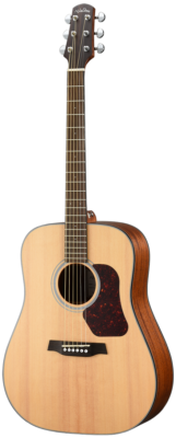 Walden Guitars D550E Natura Solid Spruce Top Dreadnought Acoustic-Electric - Open Pore Satin Natural