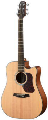 Walden Guitars D550CE Natura Solid Spruce Top Dreadnought Acoustic Cutaway-Electric - Open Pore Satin Natural