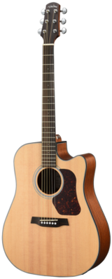 Walden Guitars D550CE Natura Solid Spruce Top Dreadnought Acoustic Cutaway-Electric - Open Pore Satin Natural