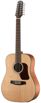 Walden Guitars D552E Natura Solid Spruce Top 12-String Dreadnought Acoustic-Electric - Open Pore Satin Natural