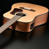 Walden Guitars D552E Natura Solid Spruce Top 12-String Dreadnought Acoustic-Electric - Open Pore Satin Natural