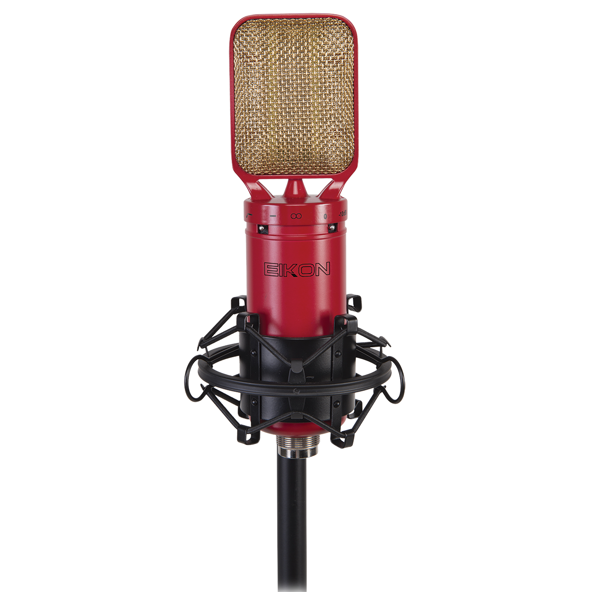 Eikon RM8 Ribbon Microphone