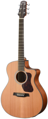 Walden Guitars G570CE Natura Solid Cedar Top Grand Auditorium Acoustic Cutaway-Electric - Open Pore Satin Natural