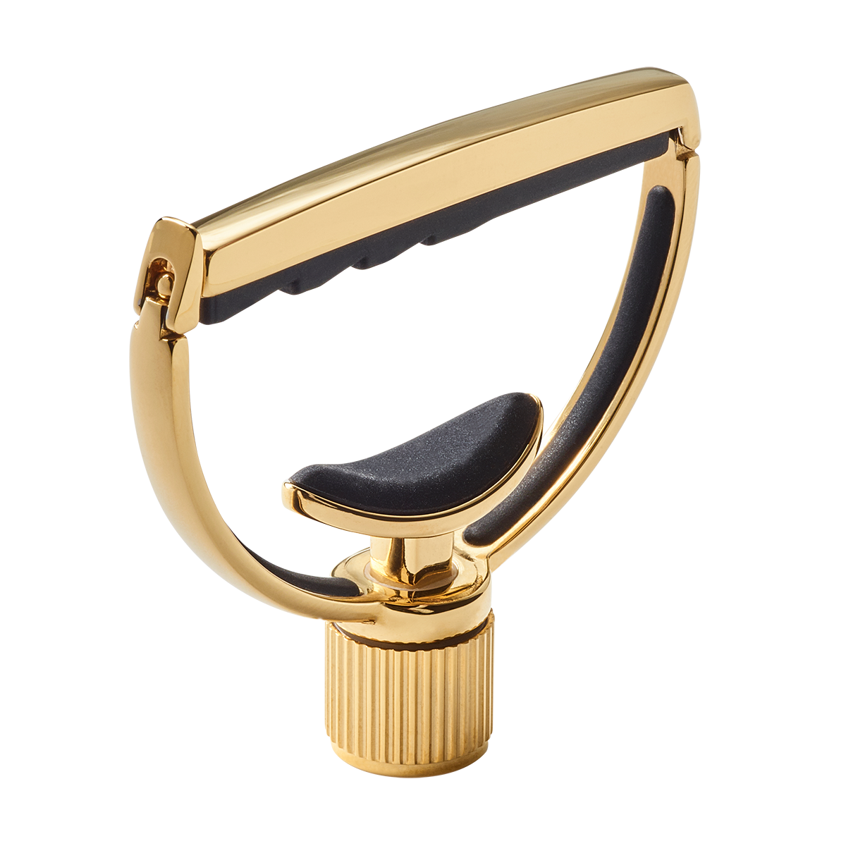 G7th Heritage 12-String Gold Capo Style 1