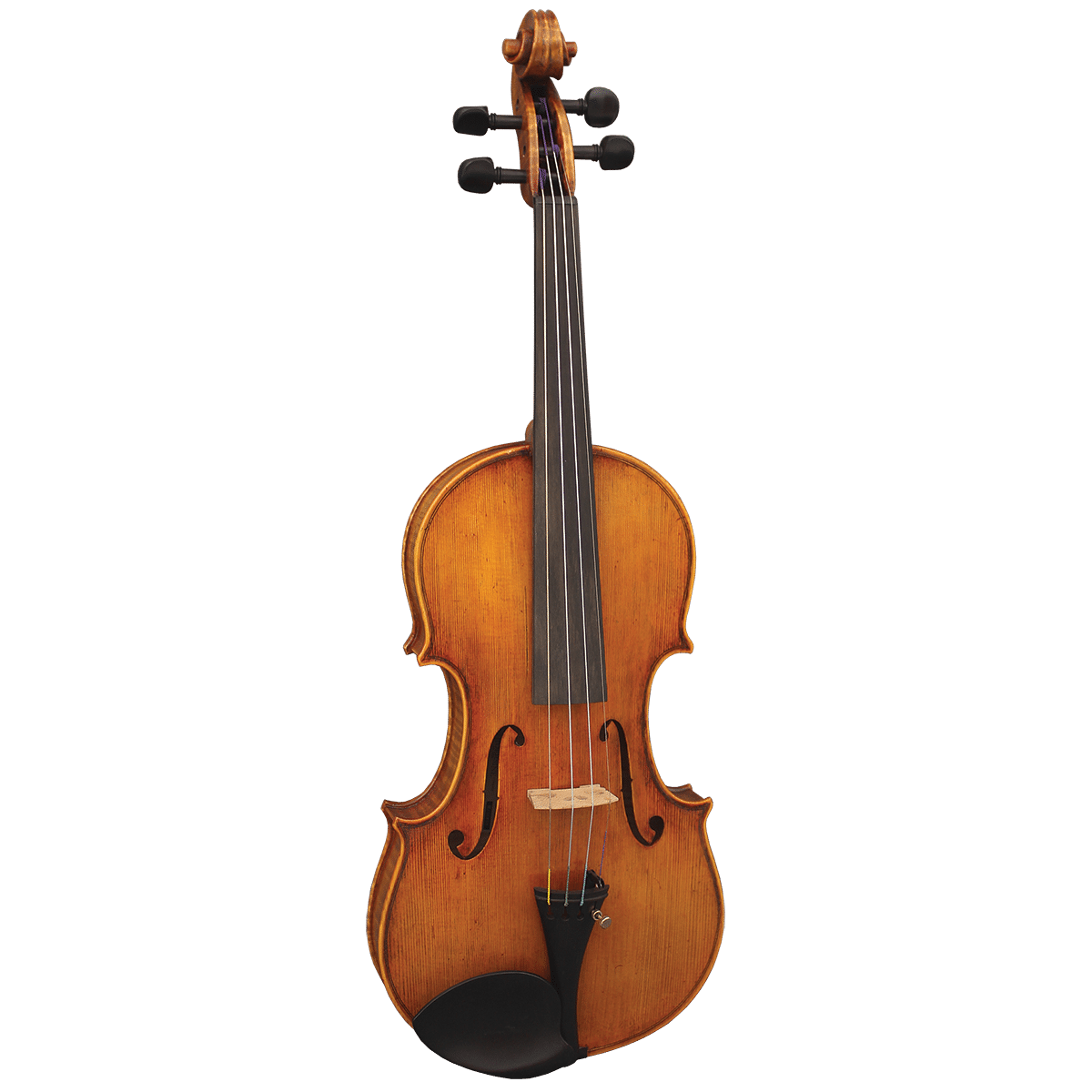 Hidersine Reserve WV400 4/4 Violin  Outfit Inc. Setup.