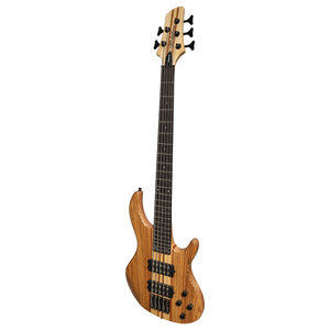 5 String Electric Bass Guitars