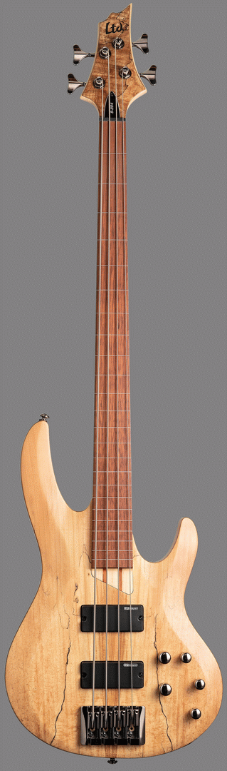 LTD B-204 SPALTED MAPLE 4 STR FRETLESS