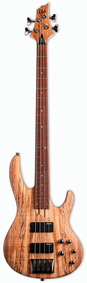 LTD B-204 SPALTED MAPLE 4 STRING BASS