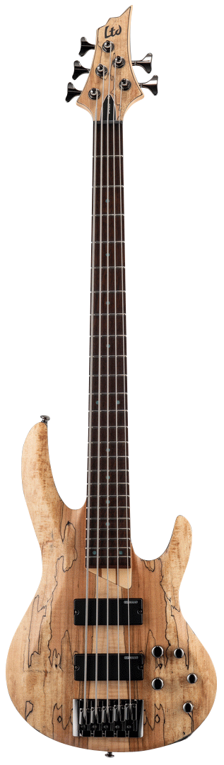 LTD B-205 SPALTED MAPLE 5 STRING BASS