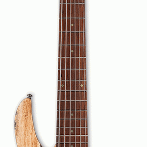 6 String Electric Bass Guitars