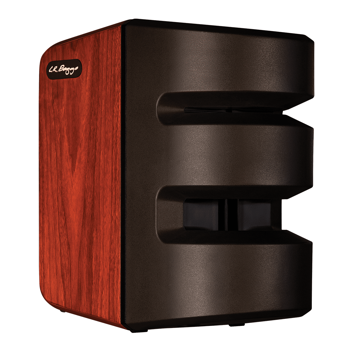 LR Baggs Synapse Personal PA System