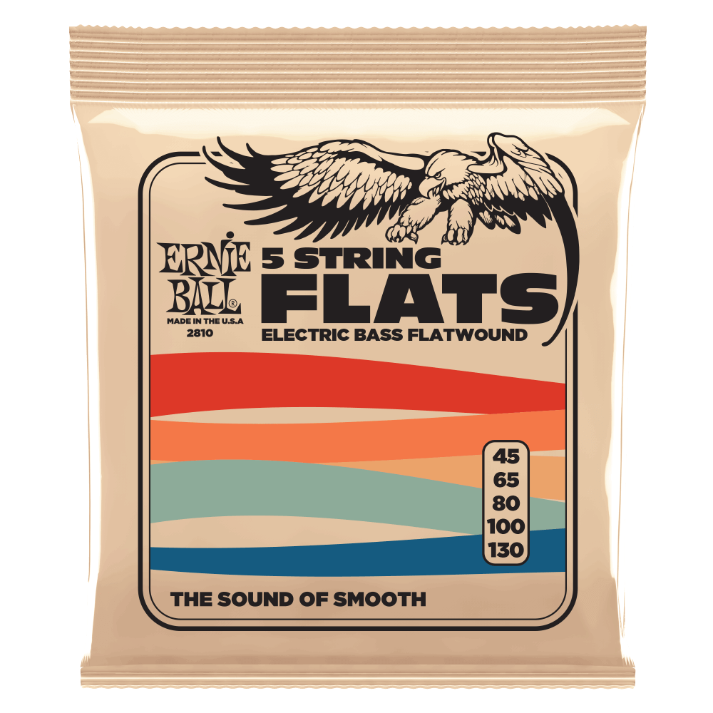 Ernie Ball Flatwound 5-string Electric Bass String, 45-130 Gauge