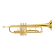 Steinhoff Student Trumpet (Gold)-KSO-TR5-GLD