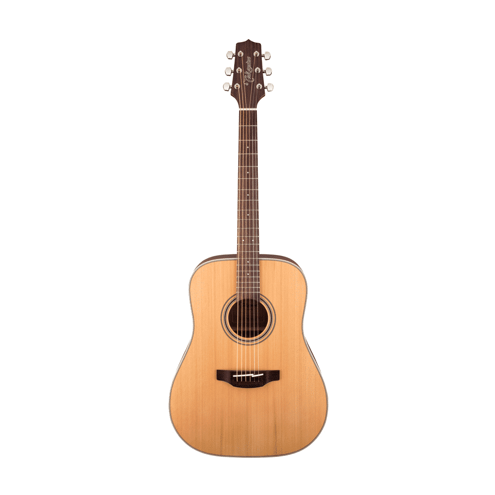 Takamine G20 Series Dreadnought Acoustic Guitar