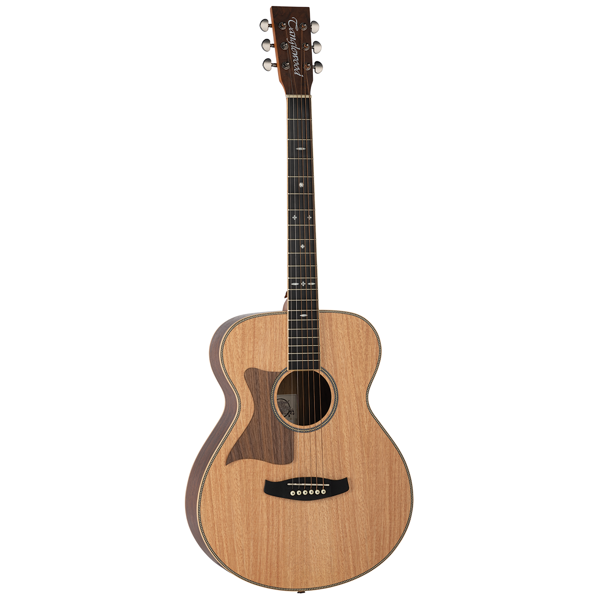 Tanglewood TRU3-HR-LH / TRPRO-F-HR-LH Reunion Pro Solid Australian Red Cedar Top Folk with Hawaiian Rain Wood B/S Left Handed