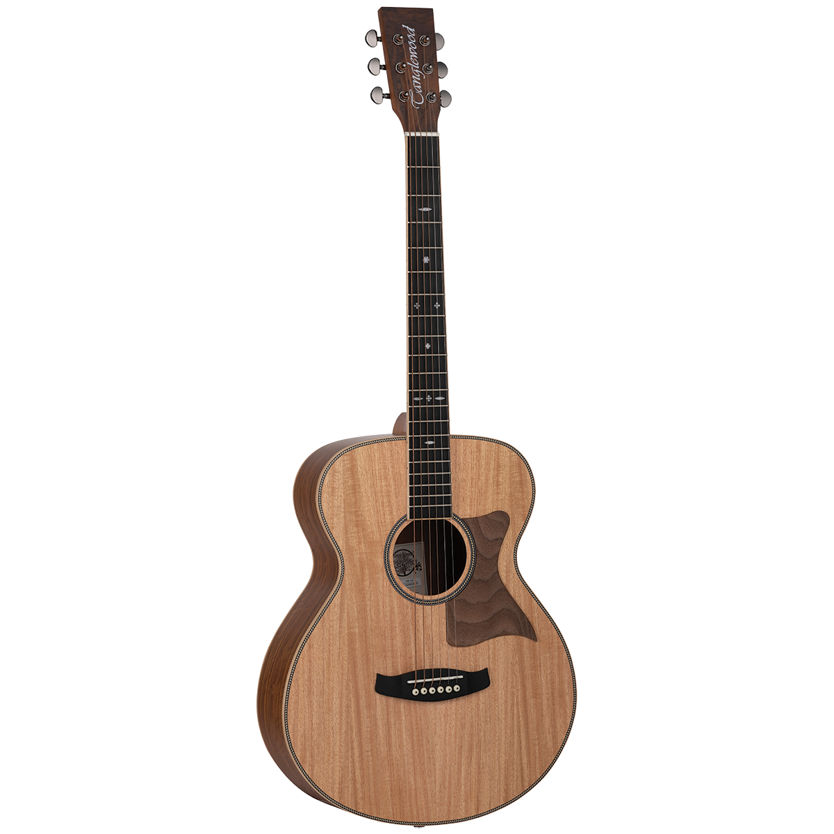 Tanglewood TRU3-HR / TRPRO-F-HR Reunion Pro Solid Australian Red Cedar Top Folk with Hawaiian Rain Wood B/S