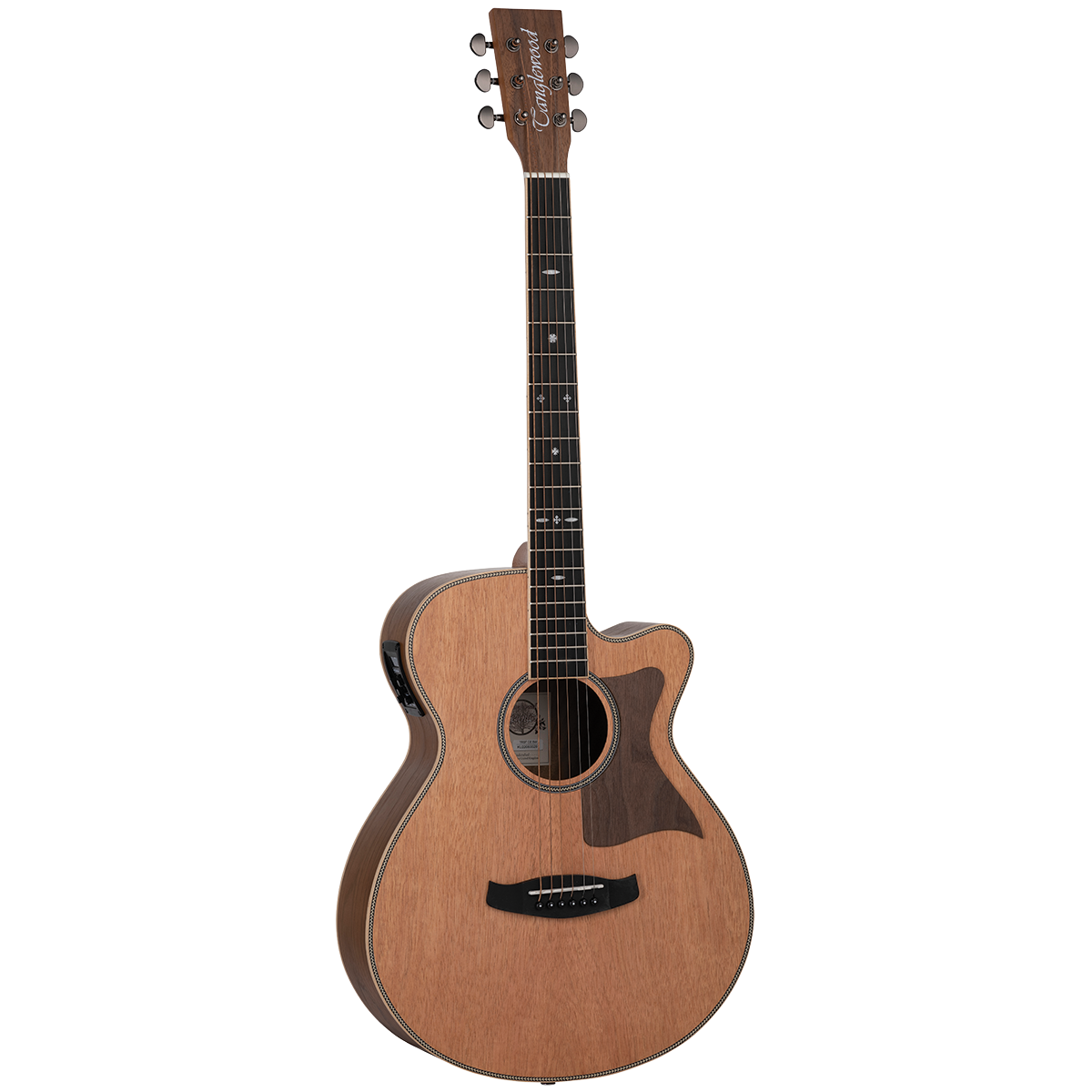 Tanglewood TRU4-CE-BW / TRPRO-SFCE-BW Reunion Pro Solid Australian Red Cedar Top Super Folk C/E with Black Walnut B/S