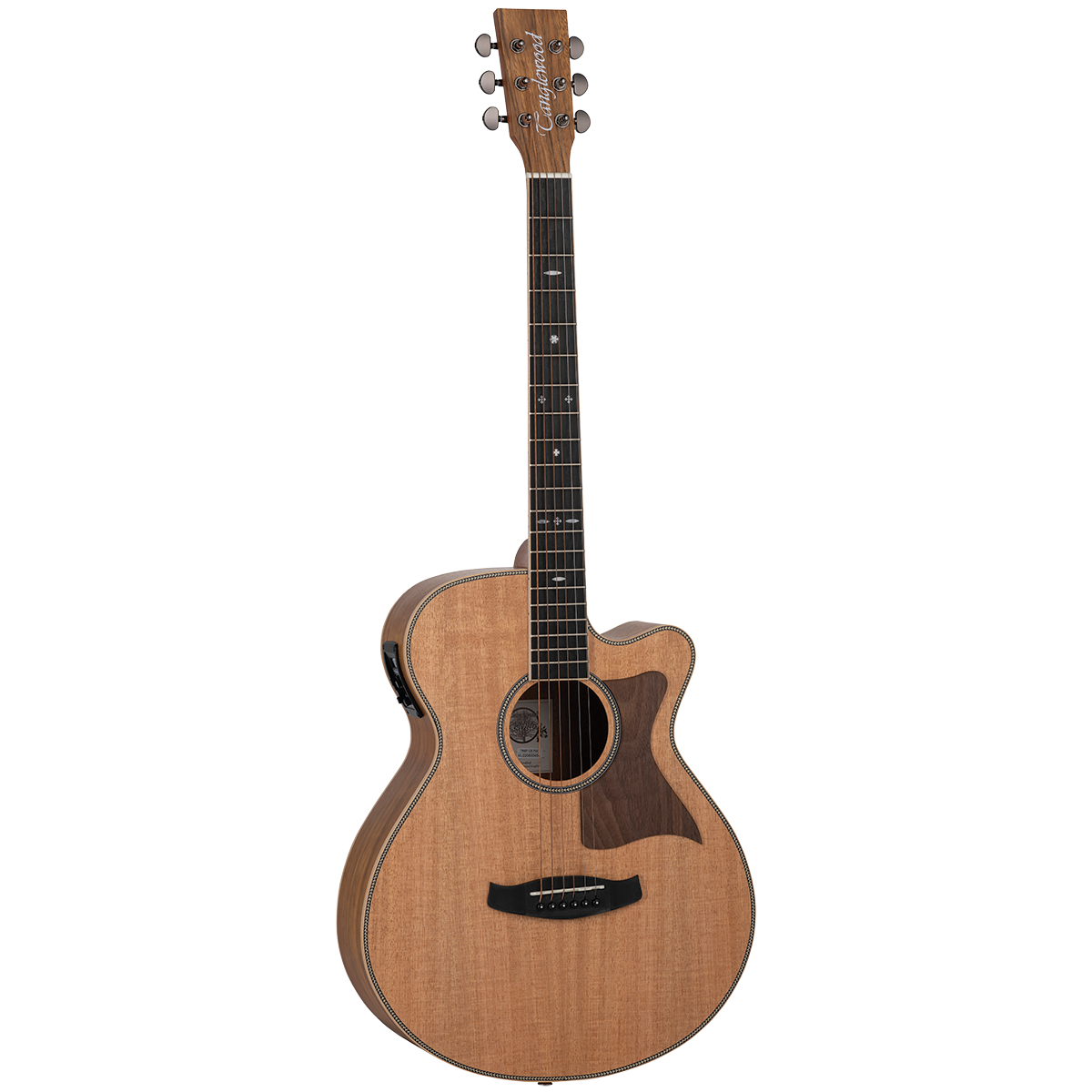 Tanglewood TRU4-CE-PW / TRPRO-SFCE-PW Reunion Pro Solid Australian Red Cedar Top Super Folk C/E with Pacific Walnut B/S