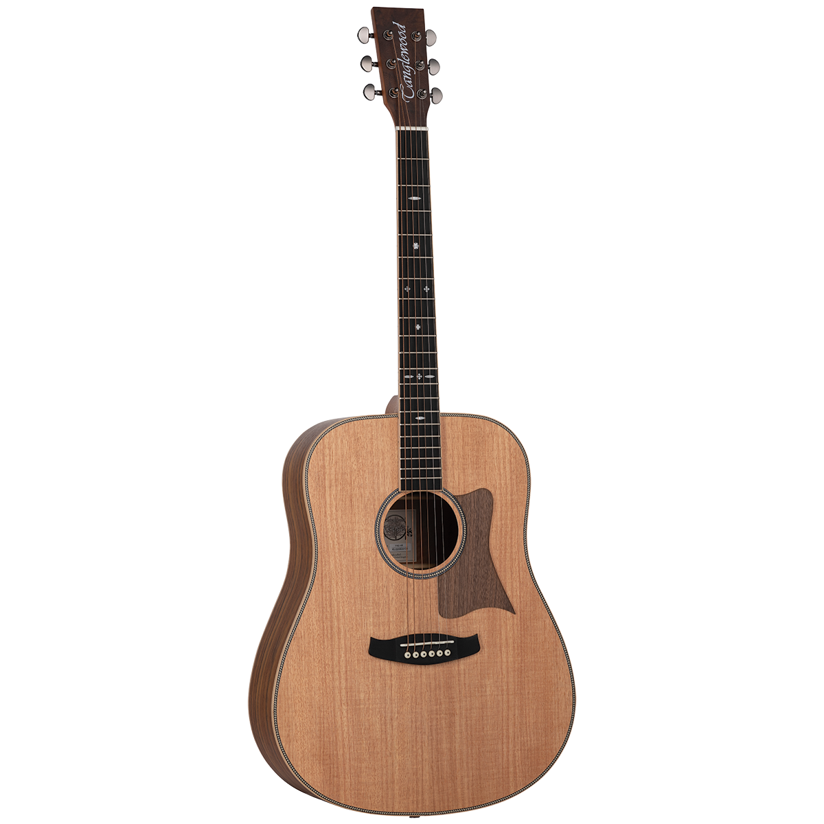 Tanglewood TRU5-HR / TRPRO-D-HR Reunion Pro Solid Australian Red Cedar Top Dreadnought with Hawaiian Rain Wood B/S