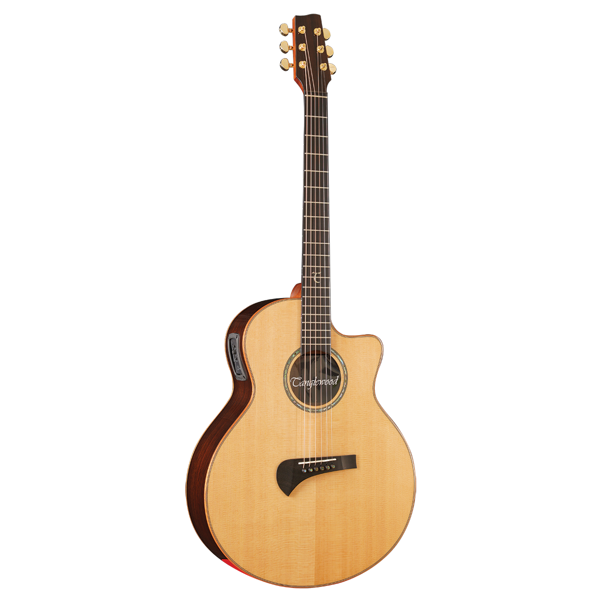 Tanglewood TSR2C MasterDesign all solid C/E with ABS Case