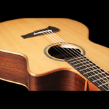 Tanglewood TSR2C MasterDesign all solid C/E with ABS Case