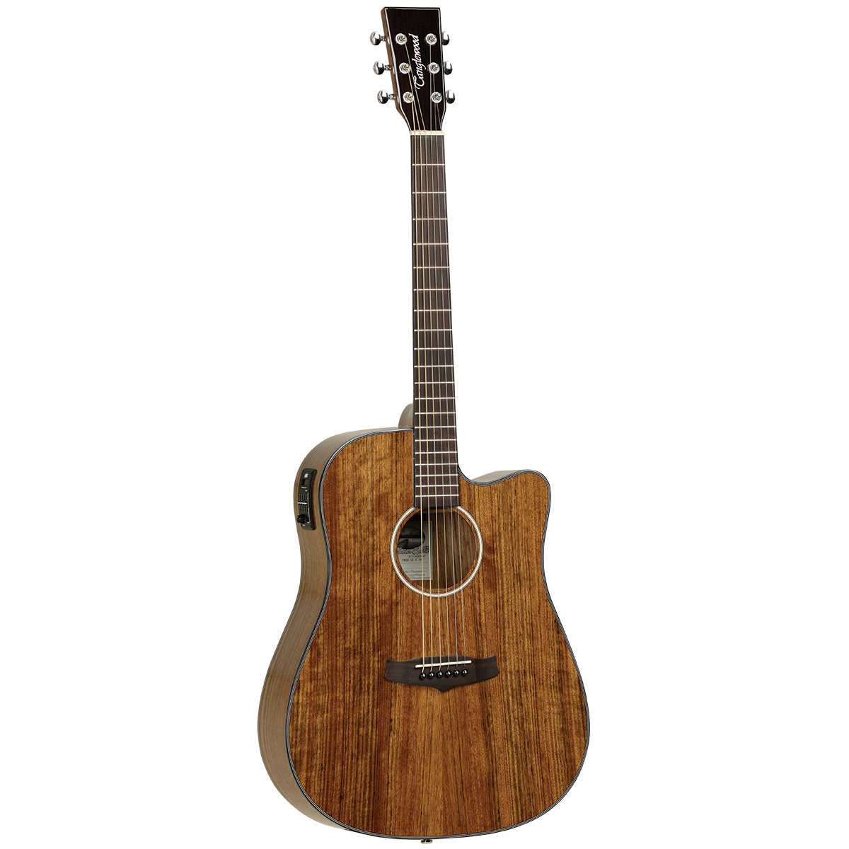 Tanglewood TW28CEXOV Winterleaf Exotic Dreadnought C/E Ovangkol