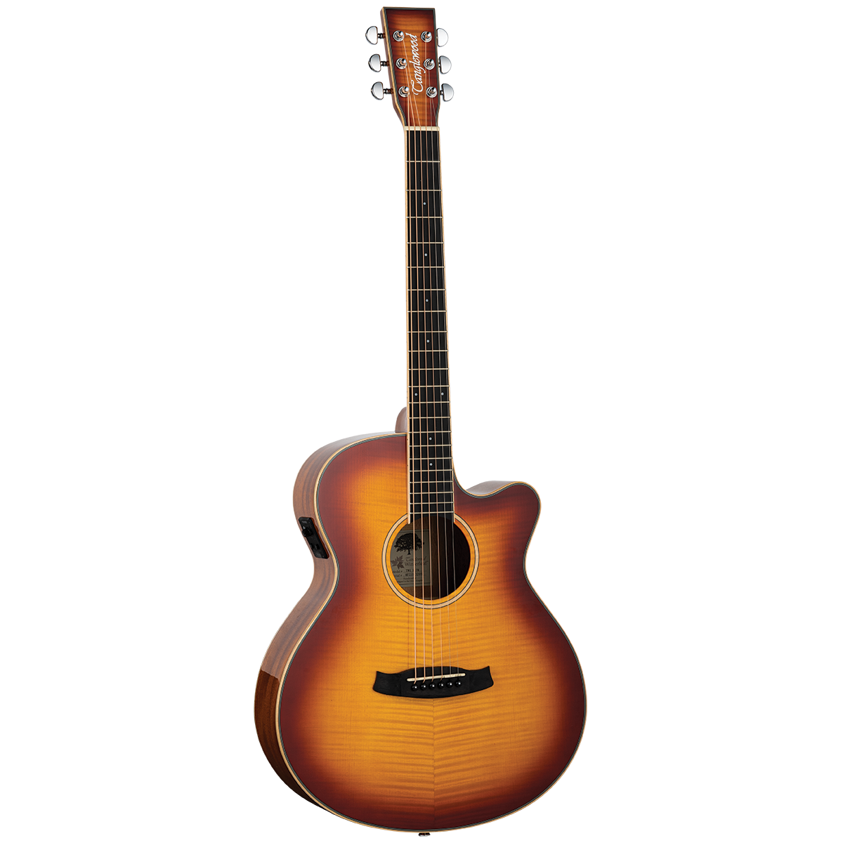 Tanglewood TW4EFM Winterleaf Exotic Superfolk Solid Top C/E Tiger Flame Maple