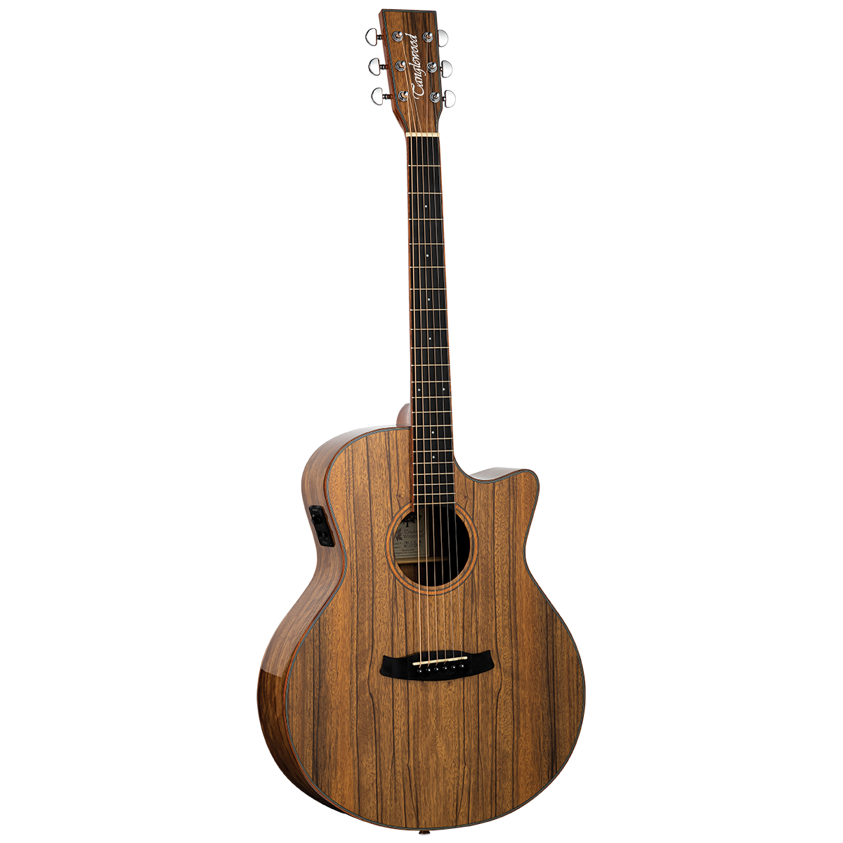 Tanglewood TW4EVCPW Winterleaf Exotic Grand Auditorium Solid Top C/E Pacific Walnut Veneer