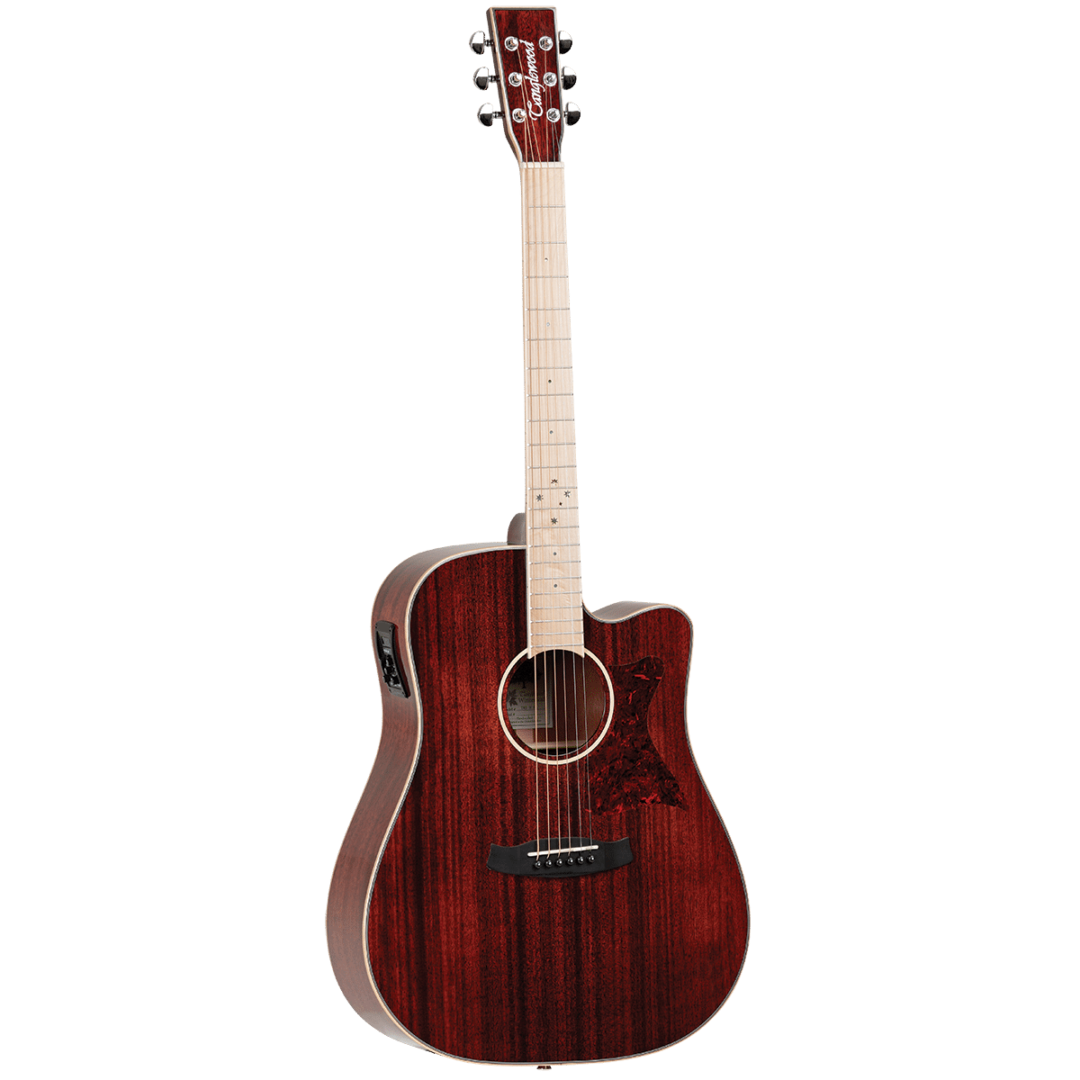 Tanglewood TW5BLB Winterleaf Blonde Dreadnought C/E Barossa Gloss