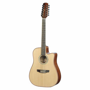 Acoustic Electric Guitars