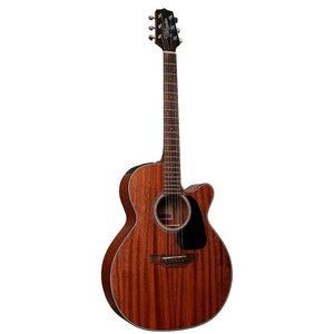 Acoustic Electric Guitars