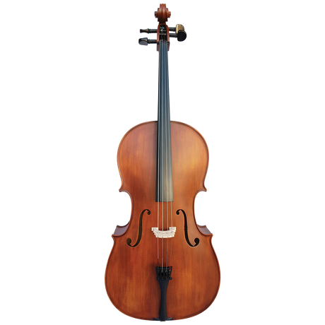 Vivo Student 1/2 Cello Outfit with Case - Setup