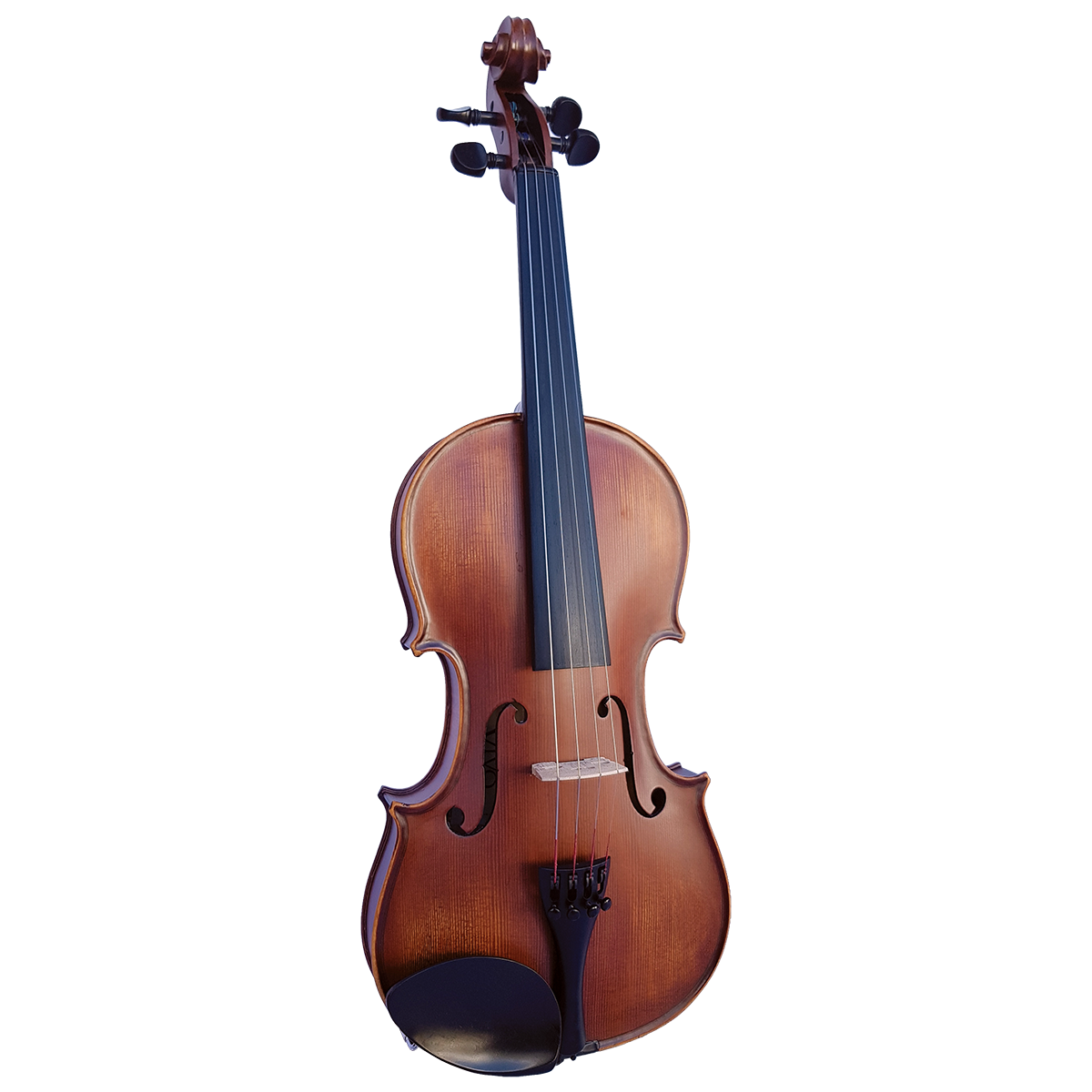 Vivo Elite 3/4 Violin Outfit - Setup