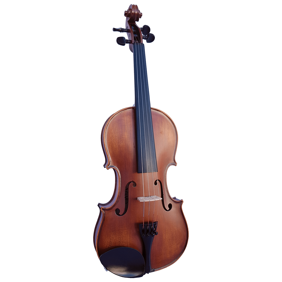 Vivo Elite 4/4 Violin Outfit