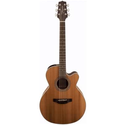 Takamine G20 Series NEX AC/EL Guitar with Cutaway