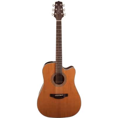 Takamine G20 Series Dreadnought AC/EL Guitar with Cutaway