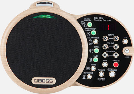 BOSS DR-01S Rhythm Partner