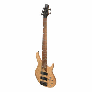 5 String Electric Bass Guitars